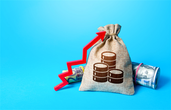 「預(yù)算管理咨詢」如何在不同階段制定不同的預(yù)算計(jì)劃？