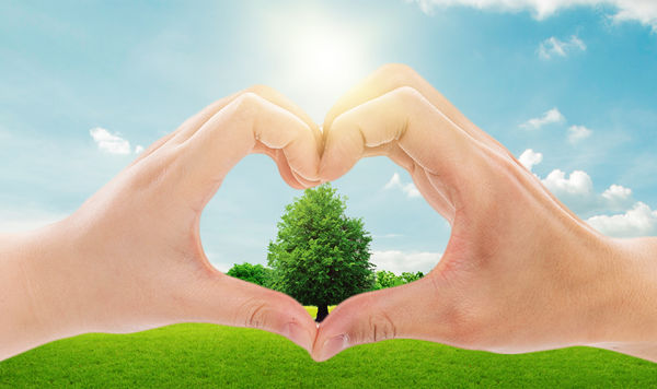 年度可持續(xù)發(fā)展計劃：綠色發(fā)展，共享價值