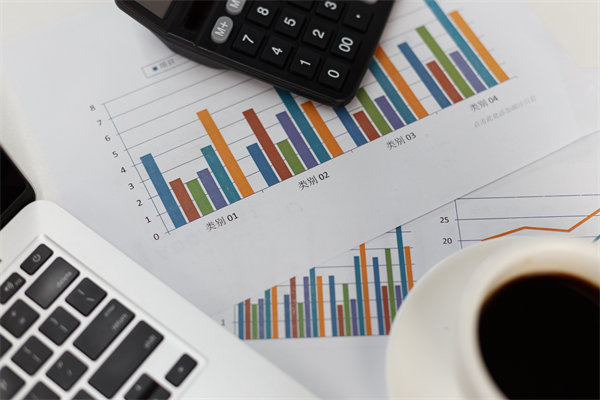 預(yù)算管理信息化建設(shè)：提升管理效率，降低管理成本