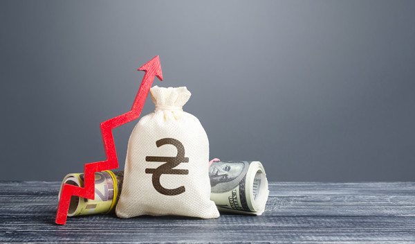 預(yù)算管理中的風(fēng)險(xiǎn)評(píng)估與應(yīng)對(duì)策略有哪些？