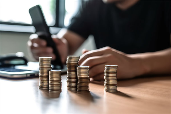 環(huán)境快速變化，如何確保預(yù)算執(zhí)行的靈活性和適應(yīng)性？