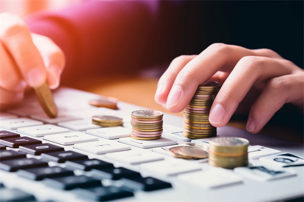 預(yù)算分析過程中，如何識別并糾正數(shù)據(jù)偏差，確保準(zhǔn)確性？