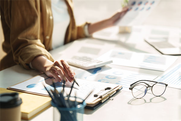 在預(yù)算執(zhí)行中，如何確保監(jiān)控與調(diào)整機(jī)制的有效性？