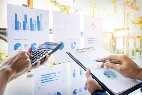 在預(yù)算執(zhí)行中，如何確保監(jiān)控與調(diào)整機制的有效性？