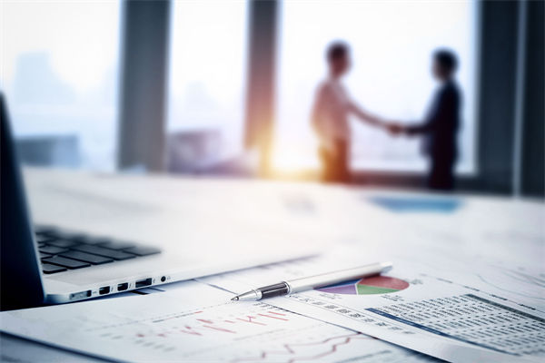 在預(yù)算執(zhí)行中，如何確保監(jiān)控與調(diào)整機制的有效性？