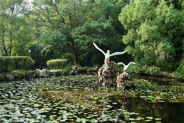 株洲預(yù)算管理咨詢公司如何為企業(yè)打造精準(zhǔn)預(yù)算管理體系？