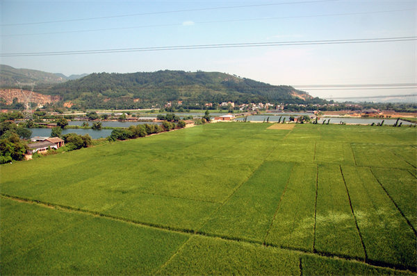 清遠(yuǎn)營(yíng)銷咨詢公司如何精準(zhǔn)定位企業(yè)目標(biāo)市場(chǎng)？