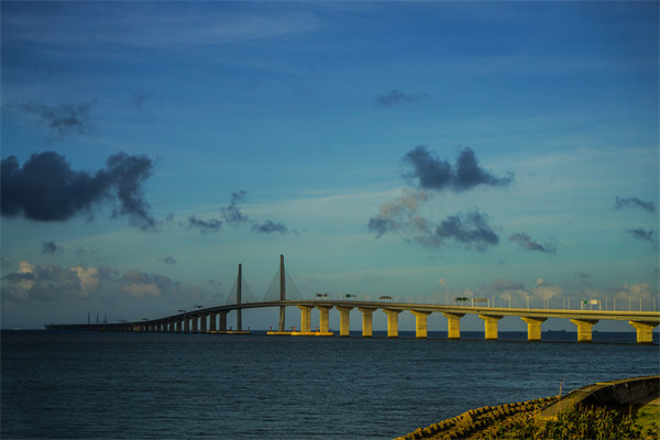 珠海年度經(jīng)營計劃咨詢公司能否提供全面的市場趨勢分析？