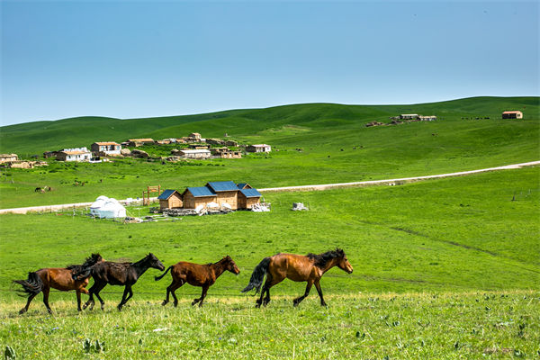 飛新疆的機票價格漲爆了，什么情況？是營銷炒作？