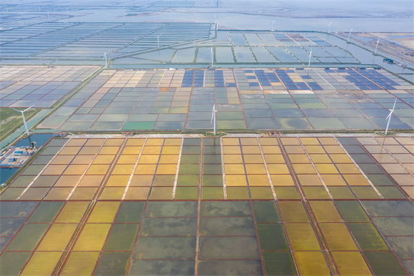 濰坊制造業(yè)招工難留人更難，濰坊人力資源咨詢公司如何破局用工困局？