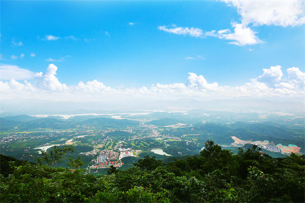 企業(yè)戰(zhàn)略飄在半空落地難，惠州戰(zhàn)略咨詢公司能錨定方向嗎？