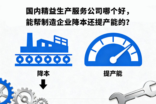 國(guó)內(nèi)精益生產(chǎn)服務(wù)公司哪個(gè)好，能幫制造企業(yè)降本還提產(chǎn)能的？