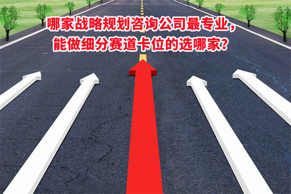 哪家戰(zhàn)略規(guī)劃咨詢公司最專業(yè)，能做細(xì)分賽道卡位的選哪家？